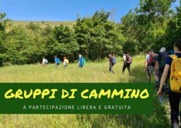 Leggi: «Gruppi di cammino»