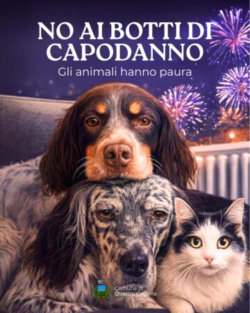 Leggi: «NO AI BOTTI NEL RISPETTO DI…»